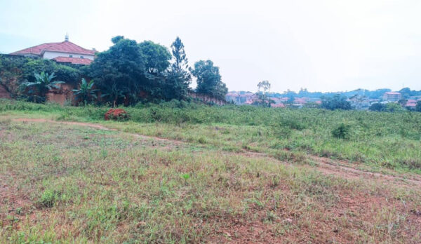 Quick sale!! 1 Acre of prime land in a good neighborhood with ready title in Namugongo only 500metres from tarmac - Image 2