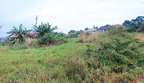 Quick sale!! 1 Acre of prime land in a good neighborhood with ready title in Namugongo only 500metres from tarmac - Image 4