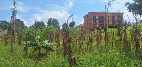 Two acres for sale kira Mulawa per acre - Image 2